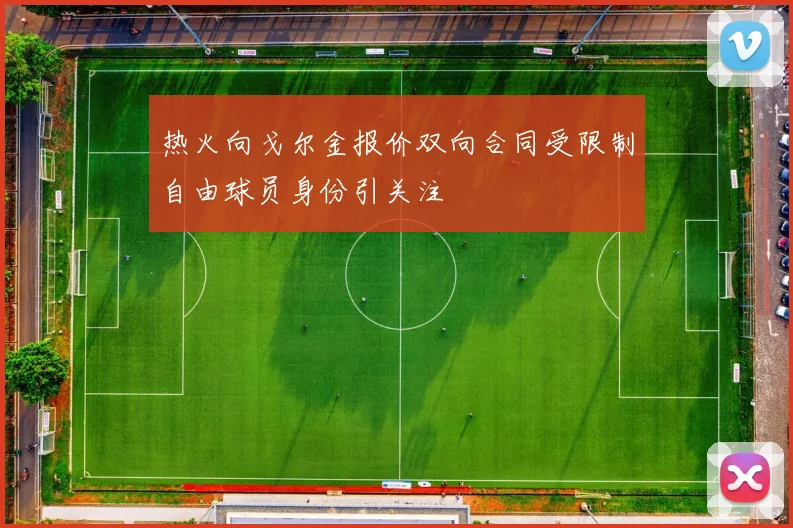 热火向戈尔金报价双向合同受限制自由球员身份引关注